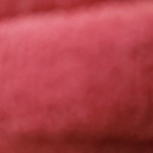 Meet your Posher, Tisha